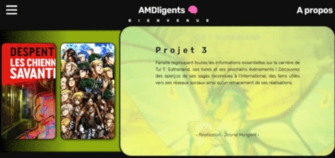 Projet Fansite - Pages blogs dédiées à des auteurs et autrices, Portail d'accés aux pages